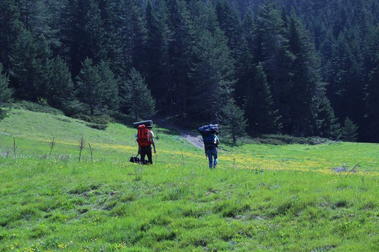 elazig-doga-tutkunlari-dernegi-kamp (8)