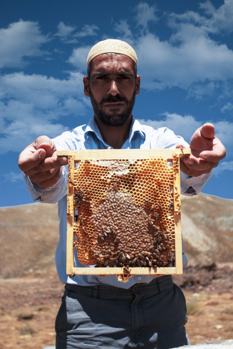 palu-bal-ustası