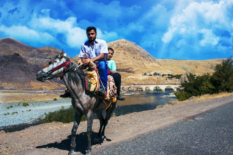 palu-koprusu-at